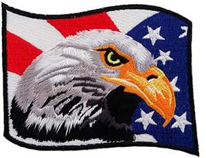 Águila EE. UU. Bandera Parche bordado de alta calidad Hierro en parches de chaqueta para ropa Insignias Pegatinas Apliques de ropa al por mayor - Product Image 2