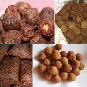 Lichi seco orgánico de primera calidad: producto saludable secado al sol seleccionado a mano de Vietnam - Product Image 2