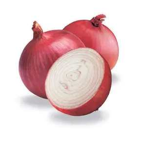 Lowest Price Fresh Red Onion | Organic Fresh Red Onion | Natural Fresh Red Onion Exporter Premium Quality Bulk Quantity Exports