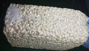 เม็ดมะม่วงหิมพานต์เวียดนามสด W320 คุณภาพสูง อร่อย ดีต่อสุขภาพ ดิบ ปลอดภัย ได้รับความไว้วางใจจากลูกค้าทั่วโลก ของว่าง อาหารว่าง อาหารประจำวัน บรรจุกล่อง 20 กก. - Product Image 4