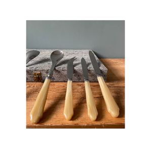 Cuillère en acier au design élégant de 25 pièces Ensemble de couverts en acier fini miroir Cuillère à couverts 6 pièces en acier miroir Poignée en os en corne - Product Image 2