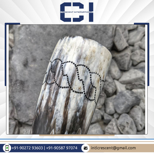 Juego de cuerno de chupito vikingo de calidad impresionante con soporte Artesanía natural pulida de un proveedor de renombre - Product Image 2