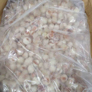 Lychees surgelés IQF, approvisionnement direct usine Vietnam, goût frais, longue durée de conservation, prêts à être expédiés - Product Image 1