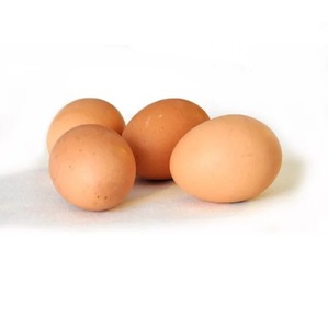 ไข่ไก่สดเกรดพรีเมียมคุณภาพสูง ราคาถูก ขายส่งจำนวนมาก ปี 2026 ขายดี สีขาว/สีน้ำตาล ผลิตในเยอรมนี - Product Image 6