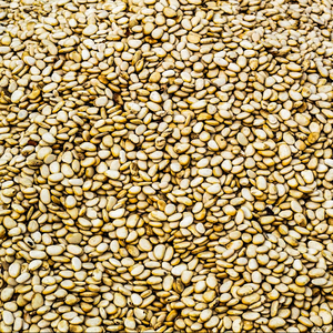 Graines de sésame fraîches naturelles de qualité supérieure, taille 14-32, prêtes à consommer, Tanzanie, durée de conservation de 30 jours - Product Image 1