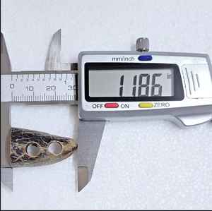 Corne de buffle couleur naturelle - Product Image 3