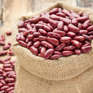 Premium Quality Light Speckled Raw Red Kidney <b>Beans</b> Bulk Supply Grade a Natural Dried <b>Beans</b> Export - Product Image 6