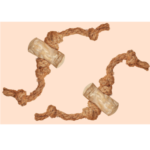 Palitos de caña de azúcar 100 PCS MOQ Viet Nam Café Madera Masticar Café Madera y Coco Cuerda Palos con cuerda en paquete de cartón - Product Image 4