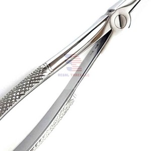Fórceps dentales de alta calidad Fórceps de extracción de dientes de hospital - Product Image 4
