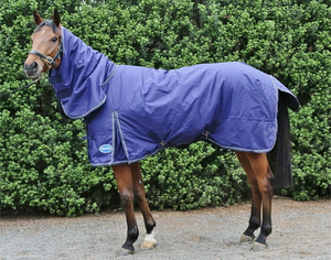 1200D <b>Waterproof</b> Breathable Horse Rug Combo for Winter Use with White Horse Racing <b>Blanket</b> for Superior Protection - Product Image 4