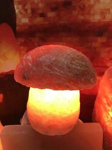 Anwar Enterprises Decorative Mushroom-Shaped Himalayan Salt Lamp Polished and Carved with Floral Catcher Styles - Product Image 6