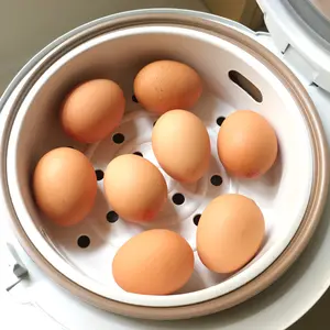 农场新鲜鸡肉餐桌鸡蛋棕色和白壳鸡蛋/各种尺寸L，XL产品新鲜餐桌鸡蛋