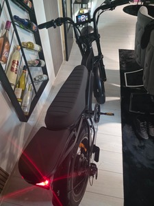 Bicicleta Eléctrica Personalizada de Montaña con Motor de Cubo Ridstar de 750W/1000W, Batería de Litio de 48V, Cuadro de Acero de 7 Velocidades, Freno de Disco Hidráulico - Product Image 6