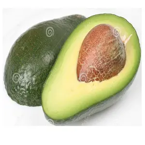 Kwaliteit Verse Rode Avocado Snelle Verzending Met Doos Hoge Kwaliteit Avocado/Verse Avocado Te Koop