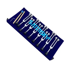 Juego de Diapasones A48F para Terapia de Sonido, Frecuencias Manuales: 126.22 Hz, 136.1 Hz, 141.27 Hz, 172.06 Hz, 194.18 Hz, para Cirugía Dental - Product Image 1