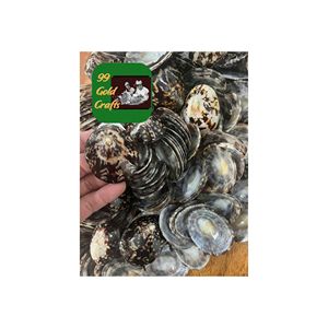 COQUILLES DE LIMPETTE NATURELLES POLIES À LA MAIN DU VIETNAM COQUILLES DE MER OVALES POUR LA DÉCORATION ART EN RÉSINE ET LA DISTRIBUTION EN GROS - Product Image 4
