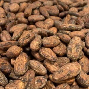 Grano de cacao fresco de calidad superior a granel disponible para la venta directa de fábrica con precios competitivos - Product Image 2