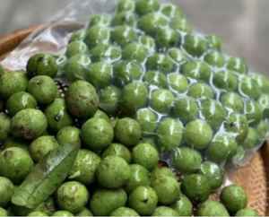 Fruta congelada Dracontomelon congelado Fruta verde IQF Envasado al vacío - Product Image 3