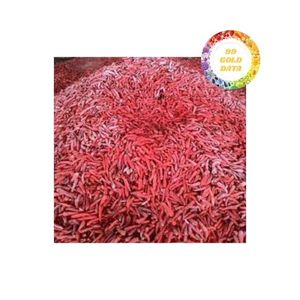Chili rojo congelado con excelente calidad, capacidad de producción suave y gran valor, perfecto para una cooperación a largo plazo - Product Image 2