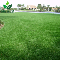 Gazon synthétique paysager réaliste et naturel, résistant aux UV, directement de l'usine, pour jardin, patio, bord de piscine