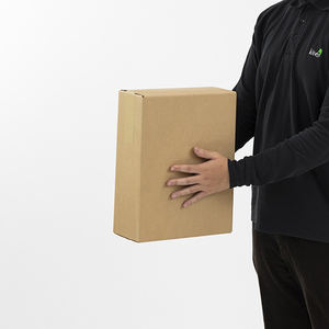 Boîte en carton ondulé rigide blanc à paroi simple, recyclable, en forme d'avion, 290x120x365mm, pour l'expédition, l'emballage et le stockage - Product Image 2