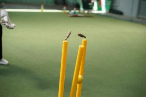 Poteaux de cricket professionnels en bois avec ressorts, fabriqués sur mesure, de qualité supérieure, conformes aux normes internationales. - Product Image 4