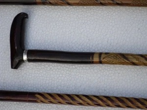 Bastón de Paseo de Cuerno de Búfalo y Buey de Alta Calidad y Gran Venta con Mango de Cuerno de Búfalo - Product Image 2