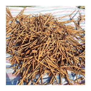 Secado al sol Vietnam Cassia Bark Cinnamon Stick Especias naturales para cocinar bebidas té y uso saludable en suministro a granel - Product Image 5