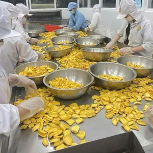 Jackfruit sans huile, sans miettes. Qualité supérieure, frit sous vide, avec une saveur croustillante naturellement sucrée. Directement du Vietnam - Product Image 1