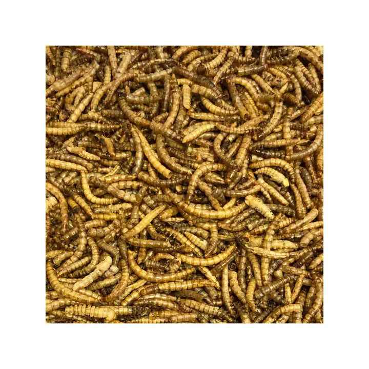 thumbnail image 2 of Premium Feeders Dried Mealworms - 3LB Bag With 48,000+ Worms - High Protein Treat For Chickens, Birds, Reptiles & Small Pets 2 of 13