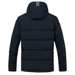 Wholesale Men's High Street Autumn Coated Eco-Friendly <b>Woven</b> Puffer Jackets Hooded Stand Collar Windproof Design Custom Logo - Product Image 2
