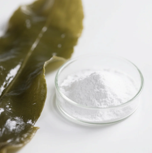 하이 퀄리티 순수 천연 해초 추출물 98% 푸코이단 분말 - Product Image 4