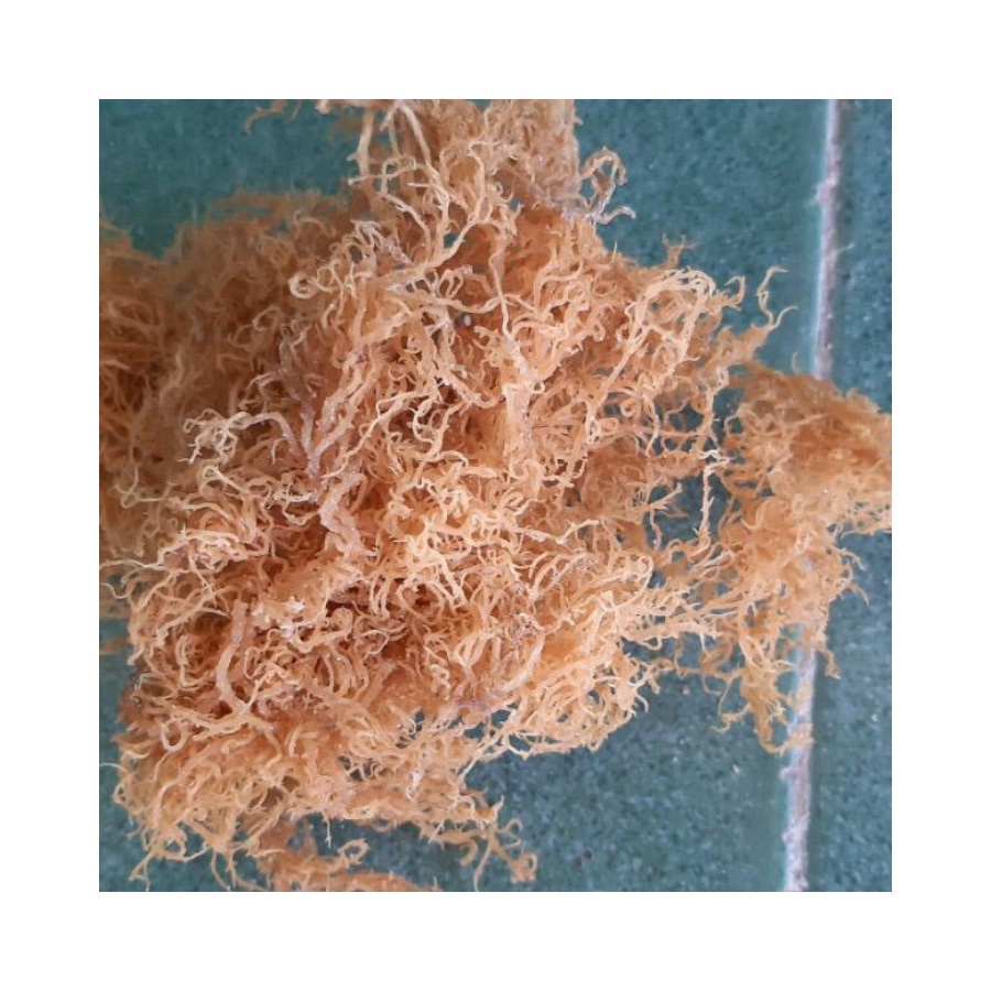 Экспортные водоросли Carrageenan класса Eucheuma Cottonii, качество экспорта, богатые питательными веществами, без использования серы, длительный срок хранения