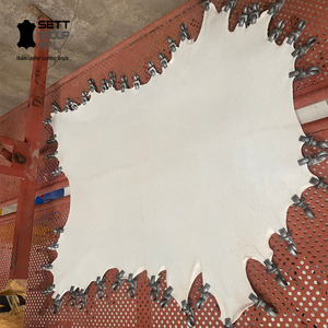 Full Hide Natural BuffaloSkin Settgroup Vellum Parchment Buffalo Bleached <b>White</b> Waterproof Durable Furniture Accessories Trusted - Product Image 2