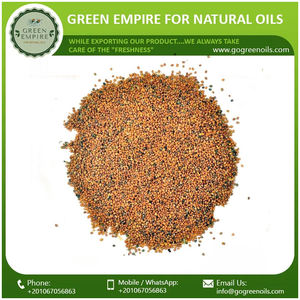 Huile de support de roquette rucola pressée à froid de haute qualité pour les soins de la peau au prix de gros - Product Image 2