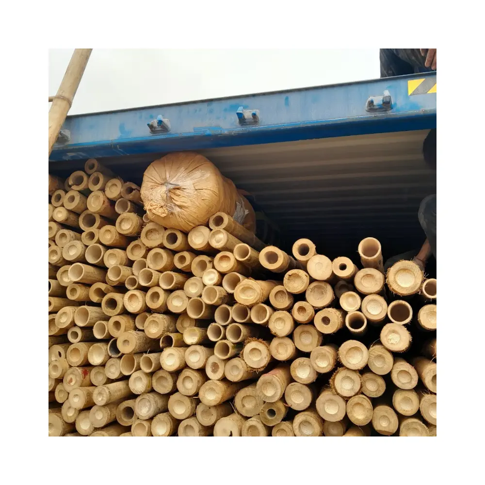 100% Natuurlijke Bouwmateriaal Best Verkopende Ruwe Bamboestokken Rechte Paal Bamboe Concurrerende Prijs Voor Export In Vietnam