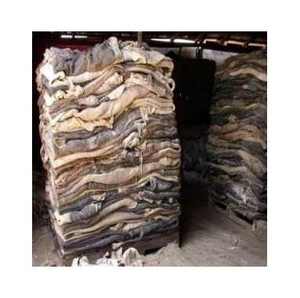Hot Selling Dry and Wet Salted Cow Hides Genuine Leather Animal Cattle Skins in Bulk for export - Product Image 5
