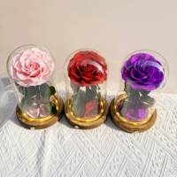 Roses éternelles préservées en dôme de verre avec lumières LED pour la Saint-Valentin, cadeaux d'anniversaire, décoration romantique pour la maison