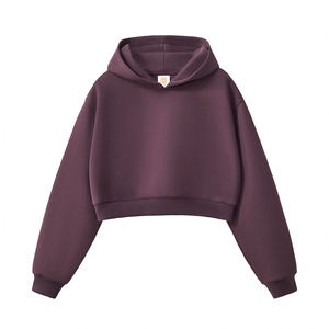 Premium personnalisé brodé poids lourd femmes recadrée sweats à capuche Streetwear mode Gym tenue décontracté pull à capuche en coton - Product Image 3