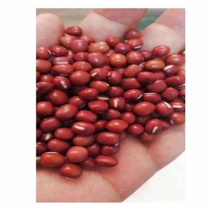 Pinto Black <b>Beans</b> From Uzbekistan Dried Red Speckled <b>Kidney</b> <b>Beans</b> - Product Image 5