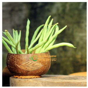 Produit haut de gamme bol en coquille de noix de coco petit gravé naturel vietnamien avec cuillère et Logo fabriqué au Vietnam - Product Image 3