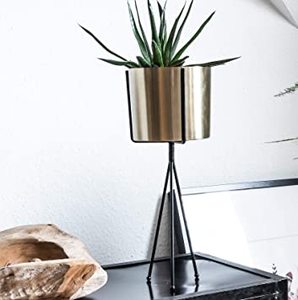 Juego de 2 macetas de decoración interior lateral de Color negro de Metal, soporte de Metal de alambre dorado antiguo, maceta de decoración de jardín de diseño antiguo - Product Image 3