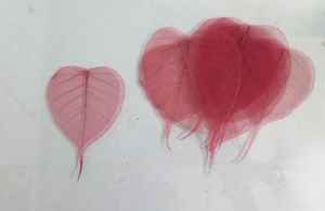 Feuilles de Squelette Décoratives d'Halloween Naturel Biodégradable Écologique Artisanat DIY Art Projets et Fleurs Décoratives - Product Image 4