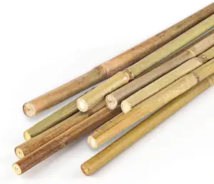 Bambù sostenibile In Vietnam pali da giardino di bambù/agricoltura all'ingrosso verde essiccato giallo spesso pali di bambù