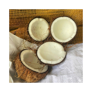 Semi noix de coco Premium: Prix d'usine Semi noix de coco, haute qualité du Vietnam - Product Image 1