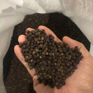 EXPÉDIER EN GROS PRIX USINE POIVRE NOIR POIVRE DU VIETNAM 500GL, 550GL,570GL,600GL, 5MM - Product Image 6