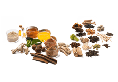 Sirop authentique Geriforte de l'Himalaya – Complément alimentaire à base de plantes de confiance pour soutenir l'immunité, le bien-être et l'équilibre énergétique des adultes - Product Image 2