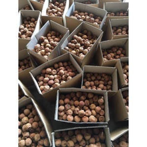 Lichi Seco Premium de Vietnam - Product Image 6