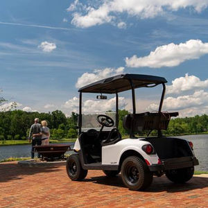 EZGO Valor 2023 para 4 Pasajeros EX1 EFI Gasolina - Product Image 5