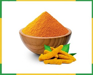 Polvo de cúrcuma orgánica Pure Haldi para cocinar y bienestar RAUTIMPEX INTERNATIONAL Vida útil de 24 meses Natural - Product Image 3